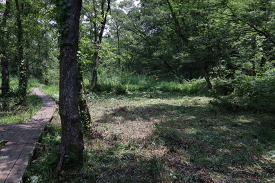 作業後の赤名湿地奥