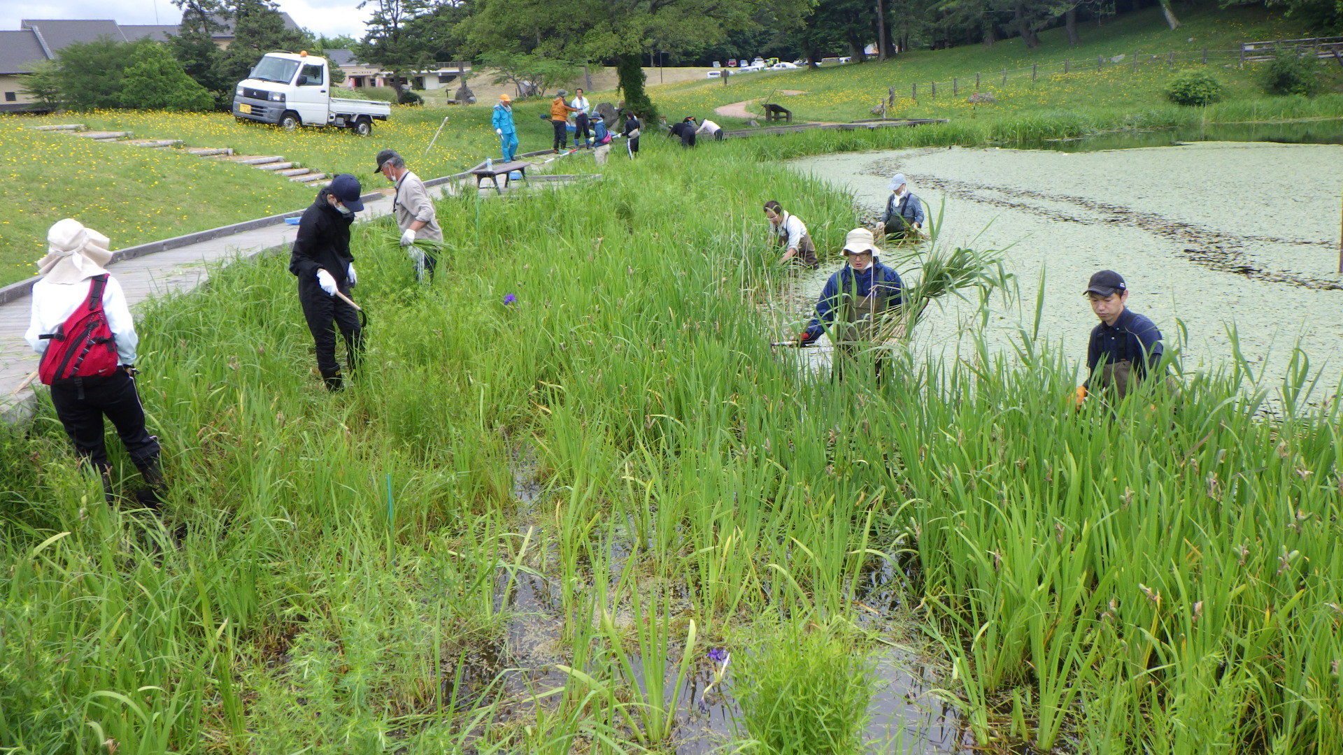 陸と池と