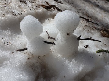 雪だるま