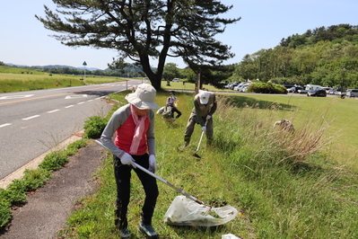 自前の道具で外来植物除去