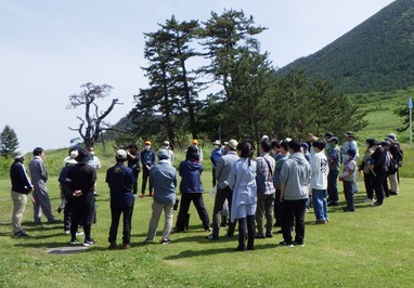 外来植物除去方法説明