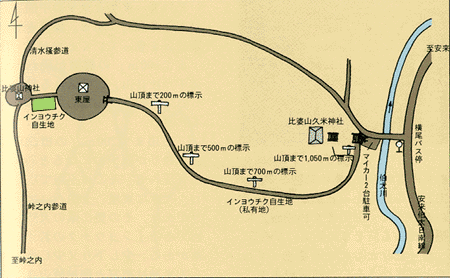 比婆山インヨウチク自生地の案内図