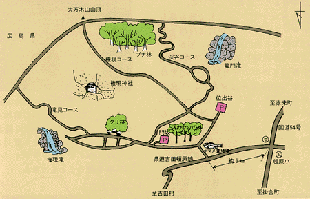 大万木山ブナ林の案内図