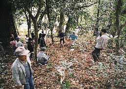 常磐山カシ林内を散策する登山者