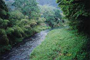 津和野川