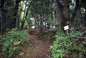 登山道