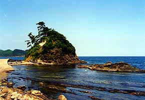島根県 惣津海岸磯の観察地 トップ 環境 県土づくり 自然 景観 動物 自然環境 島根の自然公園 保護 観察 みんなでつくる身近な自然観察路
