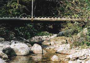 木橋の写真