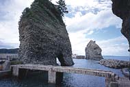 犬島、猫島