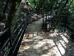 遊歩道の写真