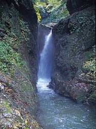 滝尻滝の写真