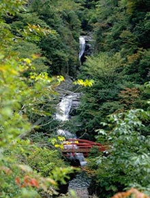 千丈渓県立自然公園写真