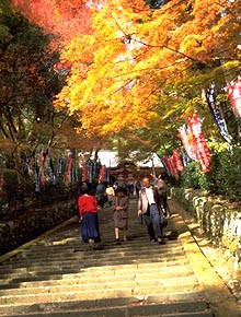 鰐淵寺の写真