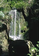熊井の滝の写真