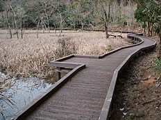 遊歩道の写真