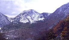 初冬の三瓶山を望む写真