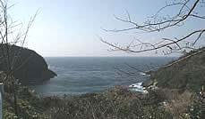 日本海が広がる写真
