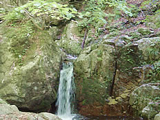 奥匹見峡桂滝の写真