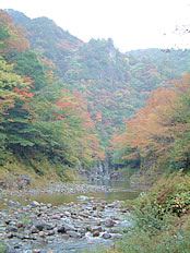 表匹見峡の紅葉の写真
