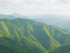 安蔵寺山の写真