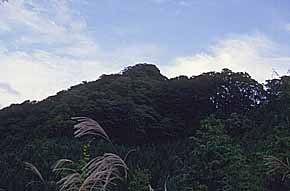 女亀山の遠景の写真