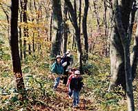 登山の様子の写真