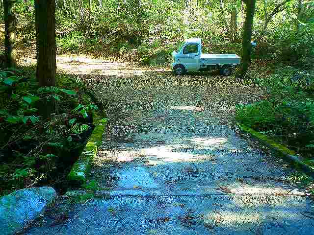 車歩道分岐点