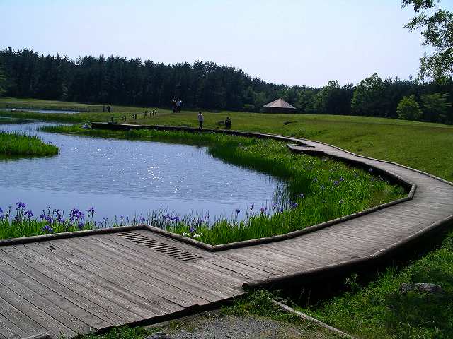 姫逃池の木道