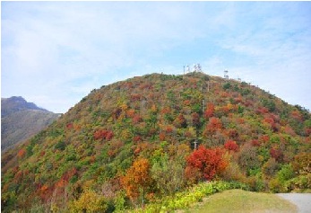 大平山からの紅葉１
