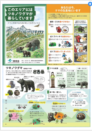 クマリーフレットおもて