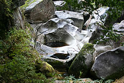 雨壷の写真