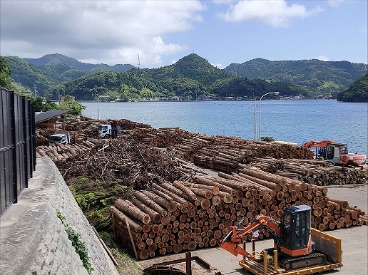 西郷港小田地区ふ頭用地状況