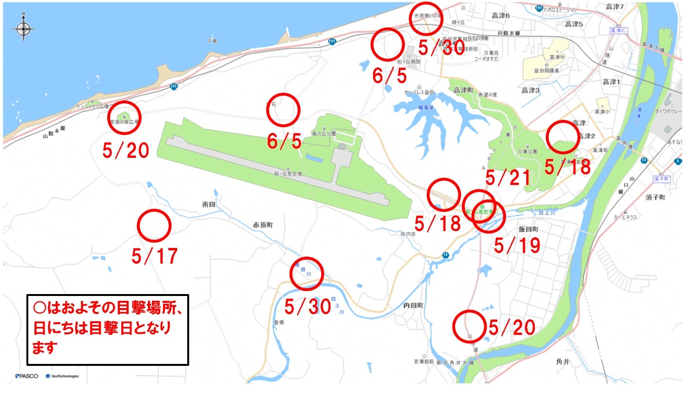 6月8日時点での石見空港周辺におけるクマ出没状況マップ