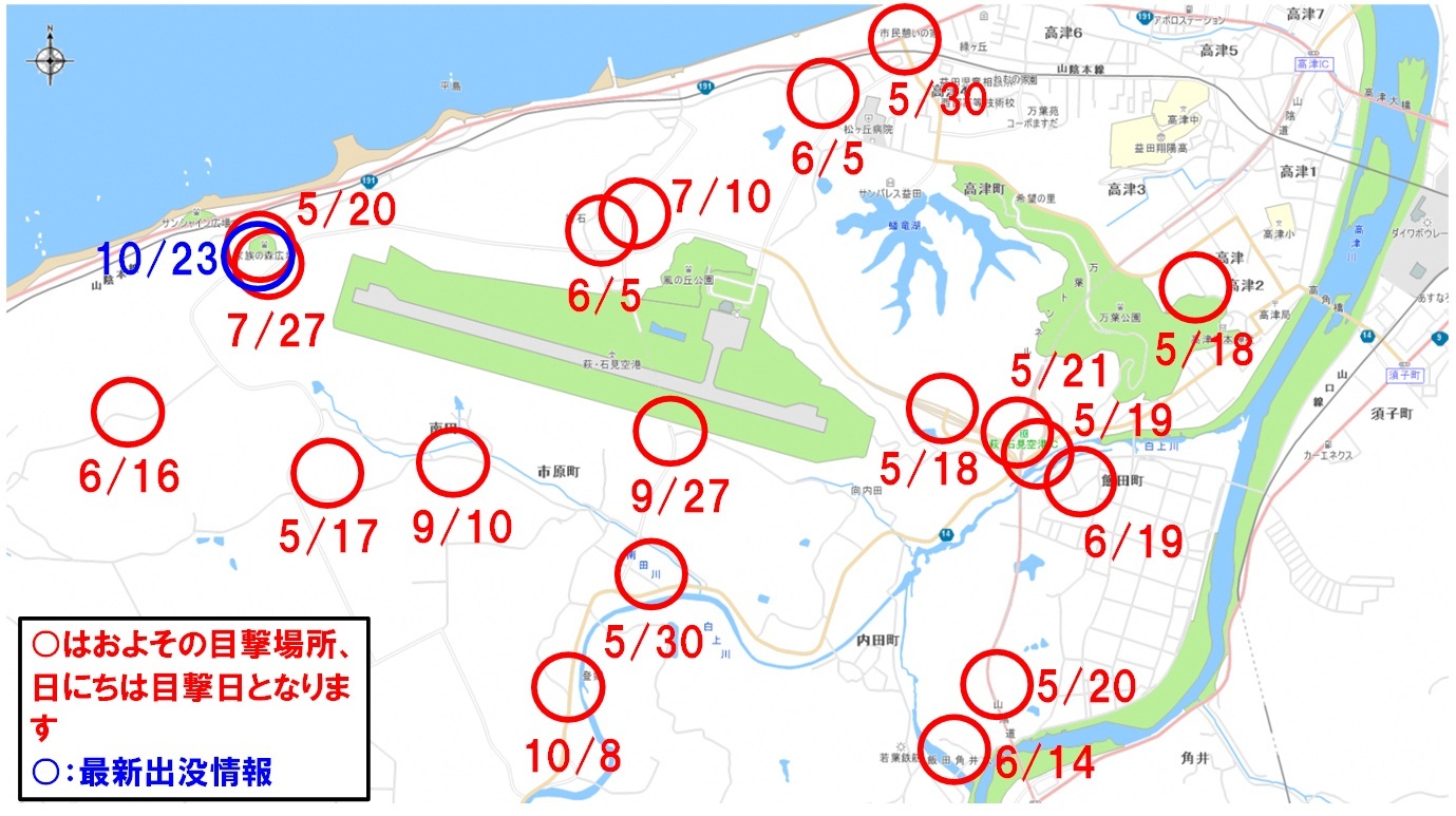 2026年10月23日現在の石見空港周辺でのクマ出没情報のマップ