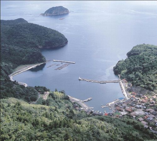 知々井港の航空写真です。