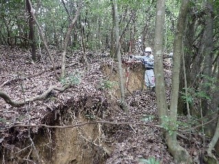 地すべりにより段差ができた山林の画像