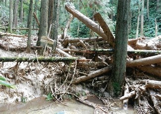 土石流により山林が破壊された画像