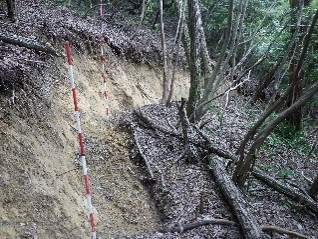 地すべりがおこった山林の画像