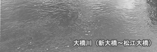 大橋川(新大橋から松江大橋)の写真その2