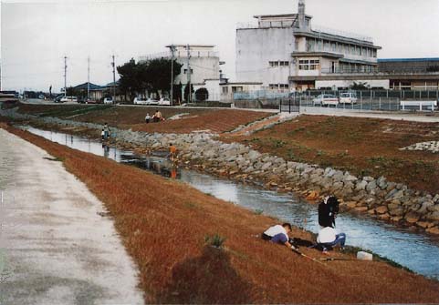 写真（芝生の川岸）