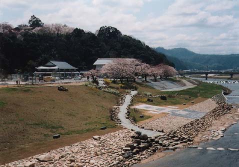 写真（道の駅「広瀬・富田城」横の河川敷）