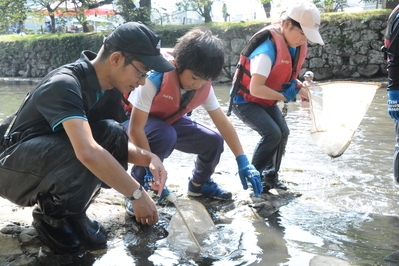 生き物調査の状況