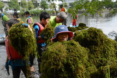 水草回収状況