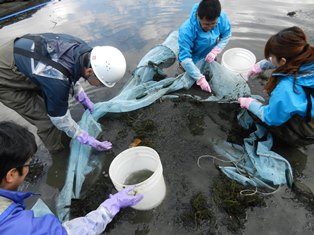 生物調査状況②