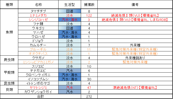 生き物調査結果