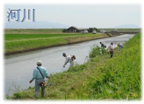 河川の活動写真