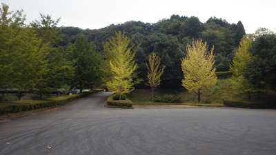 道猿坊公園の紅葉の写真左です