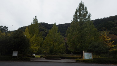 道猿坊公園の紅葉の写真まん中です