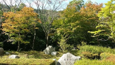 道猿坊公園の写真その２です