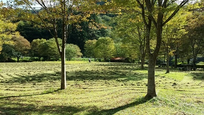 道猿坊公園の写真その３です